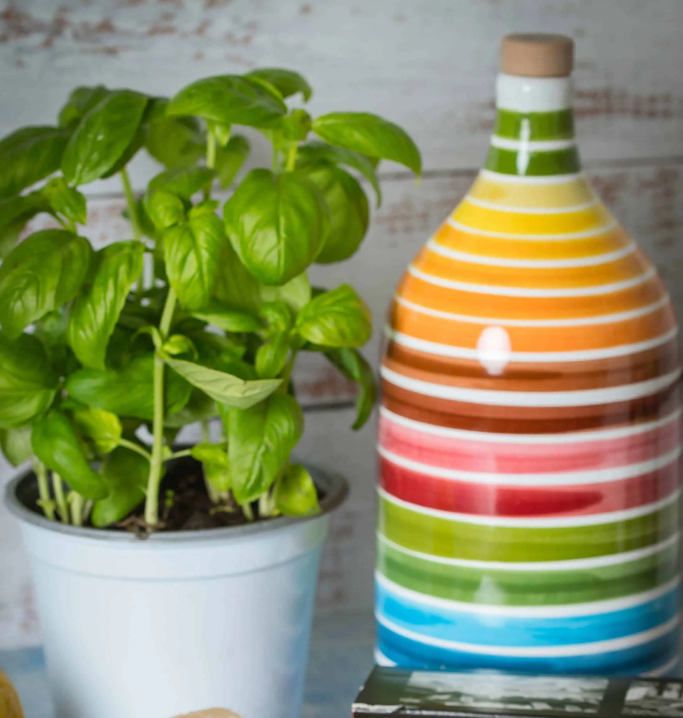 Orcio-in-ceramica-Magnum-1.jpg