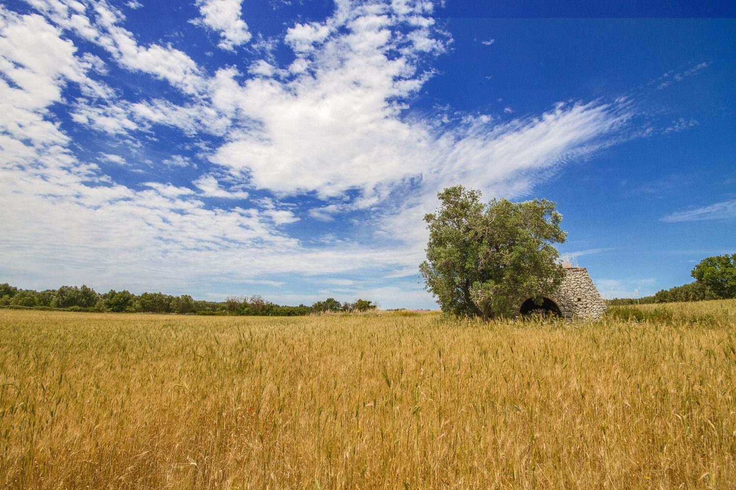 contact-form---soltakeeatitaly